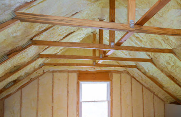 Best Specialized Insulation Services in Lake Wales, FL