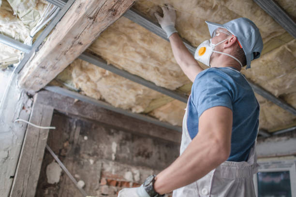 Professional Insulation Contractor in Lake Wales, FL