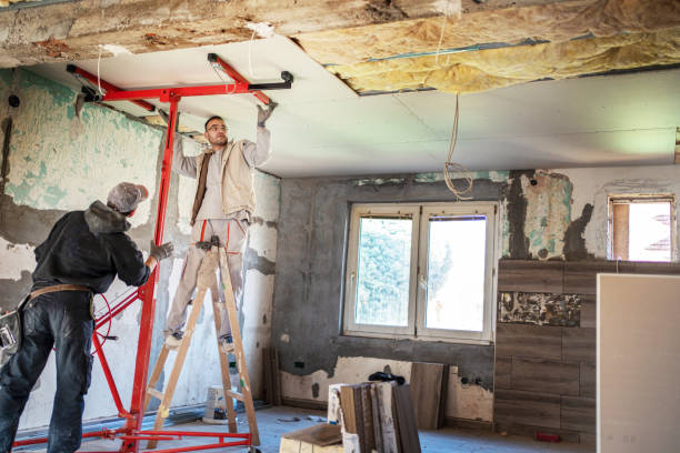 Best Cellulose Insulation in Lake Wales, FL